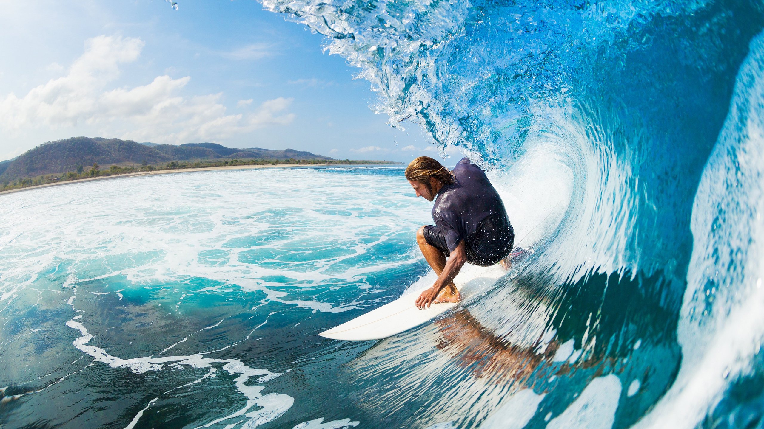 唐纳德·高尔强力冲击对方防线，助力袋鼠队取胜，唐纳德古尔德