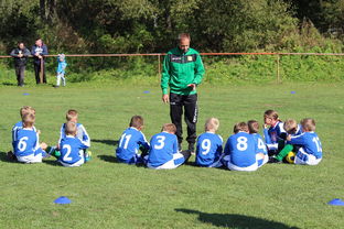 中国篮球运动员在双语环境中的表达能力培养机制，篮球运动员文化水平