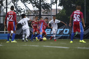 中国足球联赛青少年发展人才储备现状，中国足球青训人才