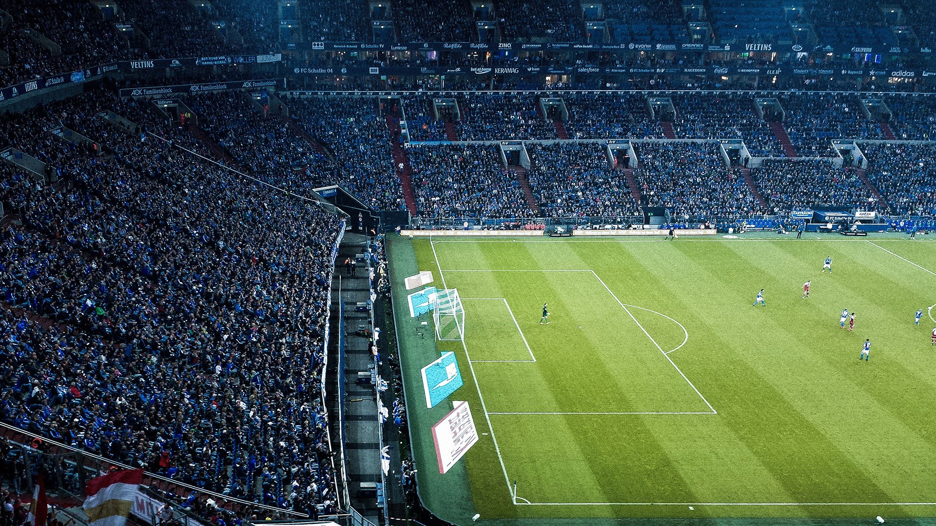 极速冲刺！运动员用“速度”打破纪录！